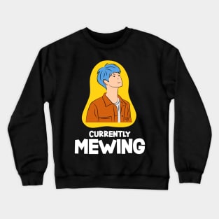 CURRENTLY MEWING Crewneck Sweatshirt